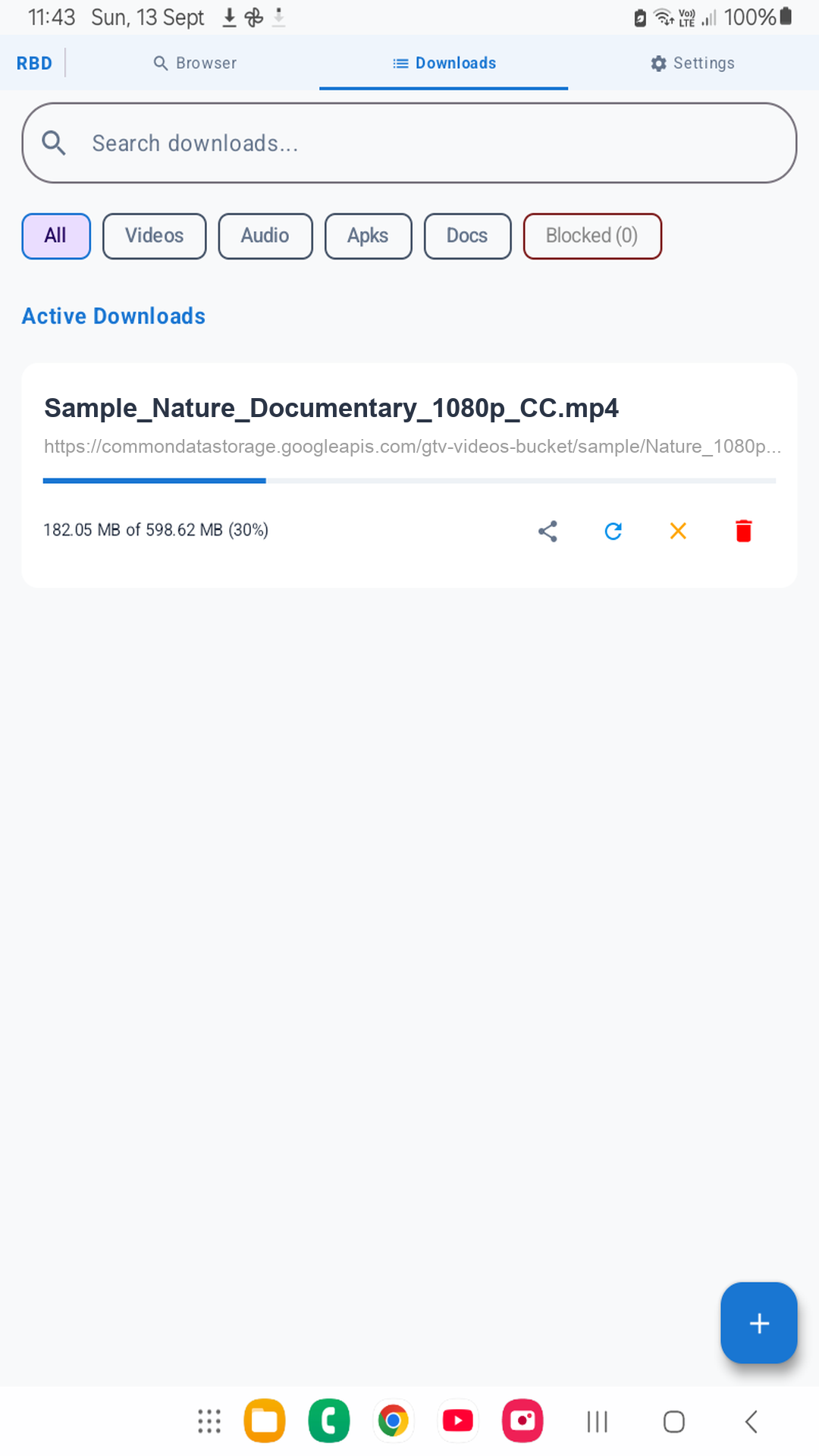 RBD Turbo Downloader Interface